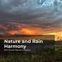 Majestic Nature Rain - ASMR Rain Sounds & Rain Sounds Nature Collection & Sleepy Rain