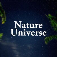 Yoga in the Orient - Relaxanna & Water Sounds Music Universe & Relaxanna & Water Sounds Music Universe