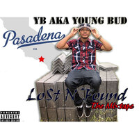 iCandy - YB (Young Bud)