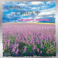I Have Never Seen - 尚名之星