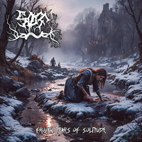 Frozen Tears Of Solitude - Screams Of Tranquility