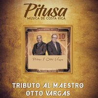 Ocaso - Pitusa