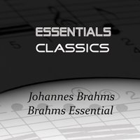 Piano Concerto No.1 in D Minor, Op.15: III. Rondo. Allegro non troppo - Иоганнес Брамс & Dubravka Tomsic