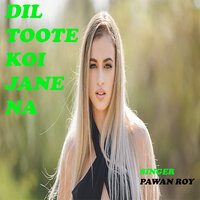 DIL TOOTE KOI JANE NA - Pawan Roy