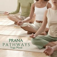 Serene Dreams - Yoga Mood