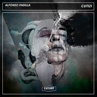 Vino - Alfonso Padilla
