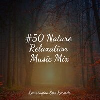 Transcending Dreams - Alpha Waves & Shakuhachi Sakano & Meditative Music Guru