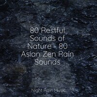 Rain, Light Metal, Window Pane - Deep Sleep Music Academy & Yoga Music & Deep Sleep Brown Noise