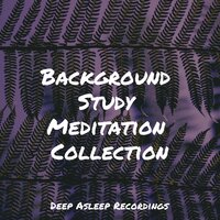 Calming Vibes - Massage & Tinnitus & Baby Sleep Lullaby Academy