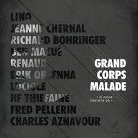Les années lumières - Grand Corps Malade & Fred Pellerin