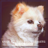 Anjing Dan Kucing - Owung Iwung