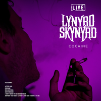 I Don't Want to Go Down There - Lynyrd Skynyrd