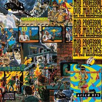 Soledad Brothers - Mad Professor