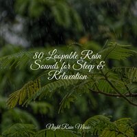 River, Medium, Stream, Creek - Rainfall For Sleep & Naturaleza Relajacion & Relaxing Music Therapy