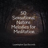 Anxiety Relief - The Relaxation Principle & Spa & Reiki Tribe