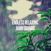 Drip Drop Cloudburst - Heavy Rain Sounds