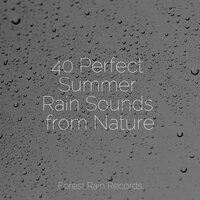 LoFi Rain in the Shed - Binaural Beats Isochronic Tones Lab & Relaxing Sleep Music & Sons da Natureza Relax