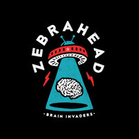 All My Friends Are Nobodies - Zebrahead
