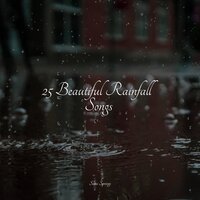 Forest Ambience, Strong Wind, Rain - Alpha Brain Waves & Calming Rainforest Sounds & Academia de Meditação Buddha