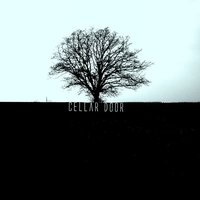 Motion highway - Cellar Door