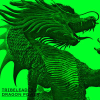 DRAGON POWER - Tribeleader