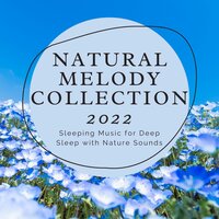 Relaxed Intimate - Every Night Alder