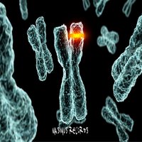 DNA - Nacim Ladj