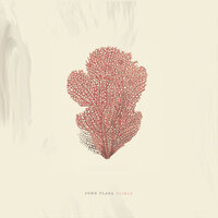Chucao Escondido - John Plaza