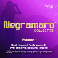 Meraviglioso [Strumentale] - Aurora Star