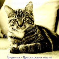 Звуки (Кошки) - качающийся Музыка для кошек