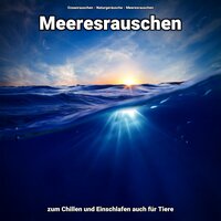Meeresrauschen für Kinder - Ozeanrauschen & Naturgeräusche & Meeresrauschen