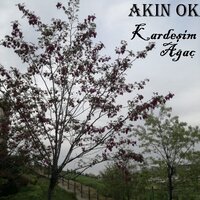 Kardeşim Ağaç - Akın Ok