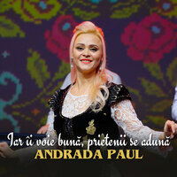 Iar Îi Voie Bună, Prietenii Se Adună - Andrada Paul