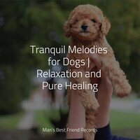 Ambient Soundscape for Sleep - Calm Doggy & Pet Care Club & Music for Dog's Ear