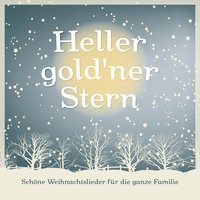 Heller gold'ner Stern - Justus & Johannes Vogt & Justus & Johannes Vogt