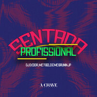 Sentada Profissional - Dj Dédda & MC 7 Belo & MC Brunin JP