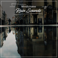 Gentle Rain on a Car Roof - Sol y Lluvia, Academia de Música con Sonidos de la Naturaleza, Sonidos De Lluvia y Tormentas & Sol y Lluvia & Academia de Música con Sonidos de la Naturaleza & Sonidos De Lluvia y Tormentas