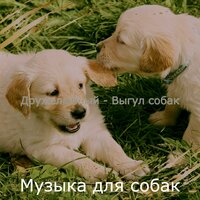 Созерцая (Одинокие собаки) - Музыка для собак