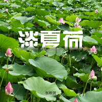淡夏荷 - 张雅淇