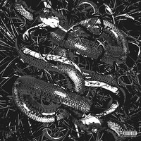 Slimey - Backwood Boy & Black Prime