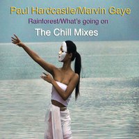 Rainforest/What's Going On - Paul Hardcastle