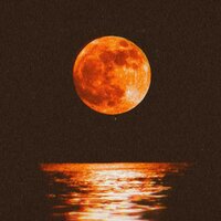 New Hope - Chameli