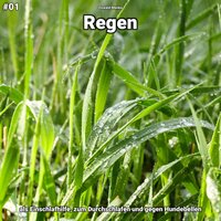 Regen, pt. 61 - Oswald Menke