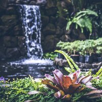 Restful Solitude - Música De Relajación Para Dormir Profundamente & Weather Factory & Entspannungsmusik
