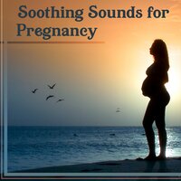 Mind Body Stress - Relaxing Music Master