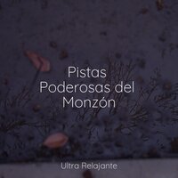Sentimientos Caprichosos - Master Meditação & Meditar Profundamente & Meditação Maestro