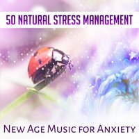 A Small Step Forward - Relieving Stress Music Collection
