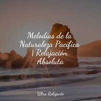 Paraíso - Meditação Zen & Piano Suave Relajante & Naturaleza Sonidos