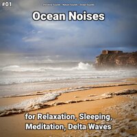 Ocean Noises Part 87 - shoreline sounds & Nature Sounds & Ocean Sounds