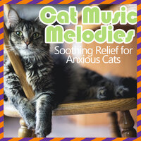 Celestial Symphony - RelaxMyCat & Cat Music Dreams
